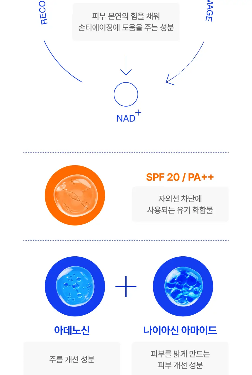 [5/8 하루특가/손티에이징] 에가 리제너레이터 핸드크림 (에센셜/어드밴스드) 상세페이지 25
